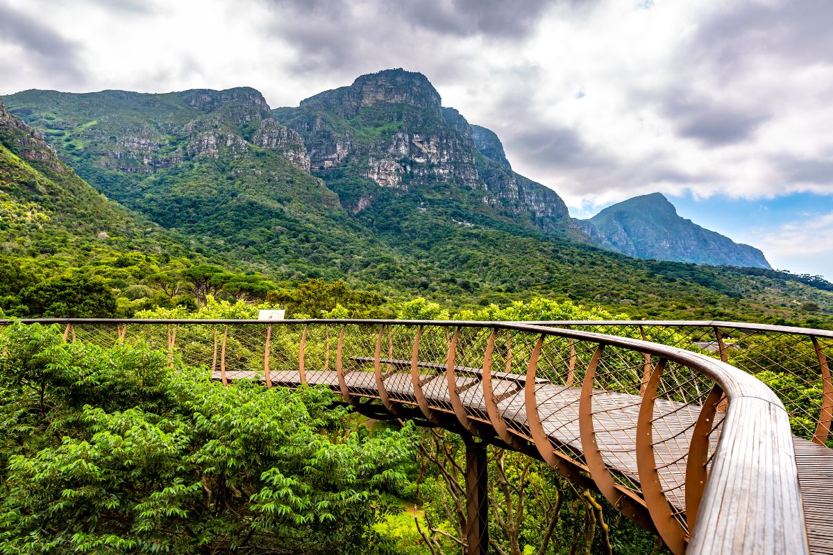 bridge at Kirstenbosch National Botanical Garden